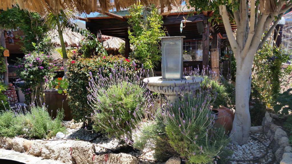Bed and Breakfast Casa Giuliana Charco del Pino Exterior foto